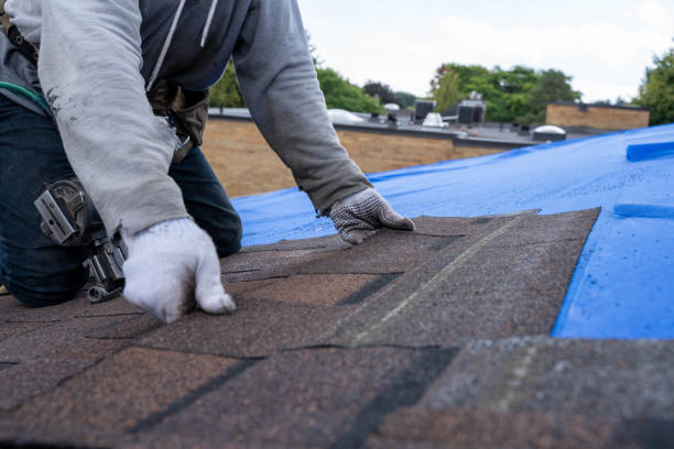 Best Roof Coating and Sealing  in Hlcrest, IL