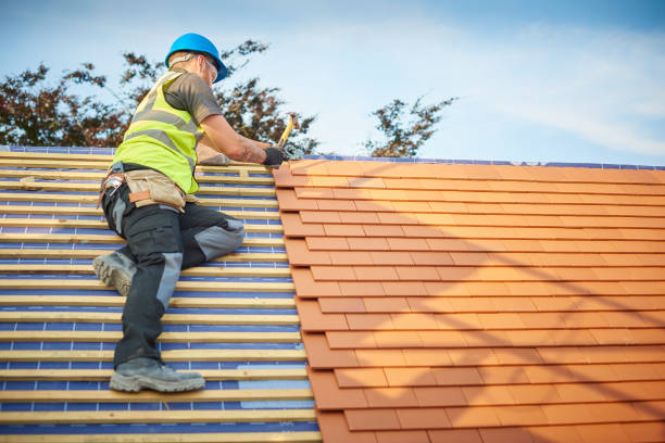 Best Skylight Installation and Repair  in Hlcrest, IL